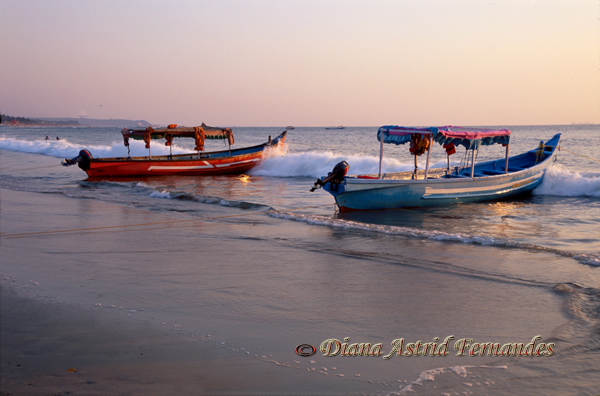 India-fishing-boats-anchored-at-dawn-Goa